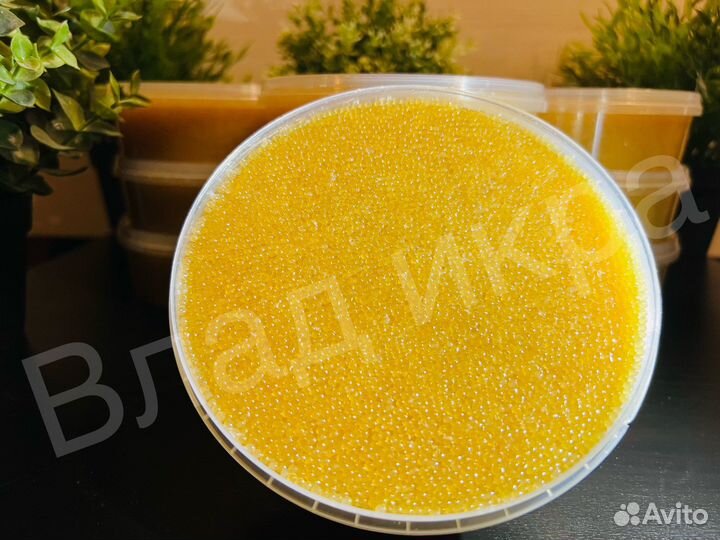 Икра Щуки свежая Май 2023