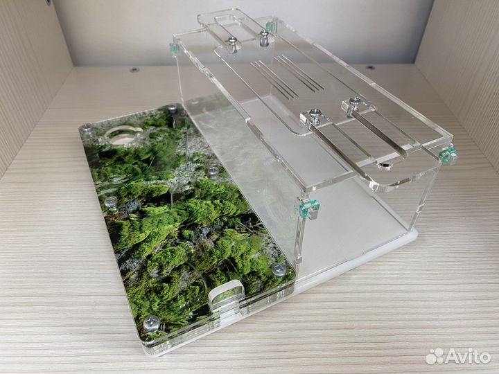 Муравьиная ферма без муравьев