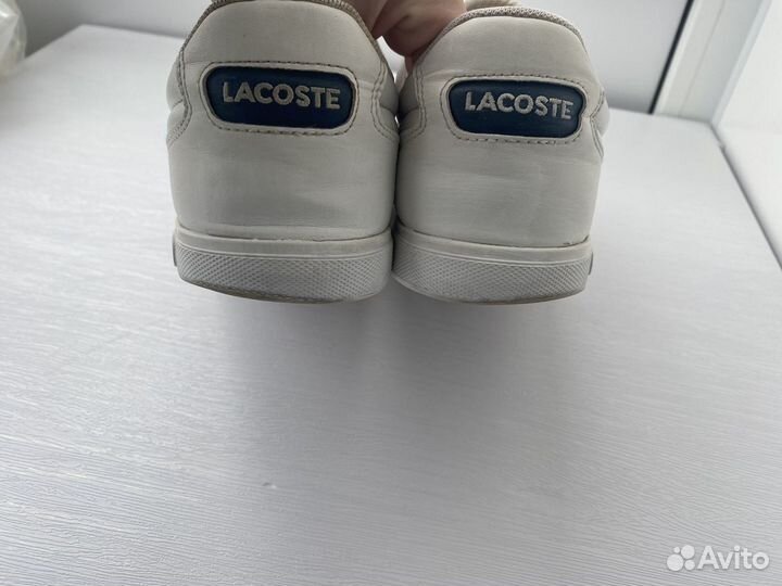 Кеды мужчкие lacoste оригинал