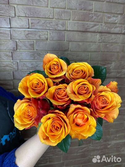 9 шикарных роз 