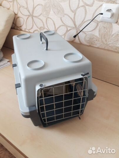 Переноска в аренду