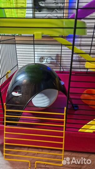 Клетка для грызунов (крыс) inter-zoo