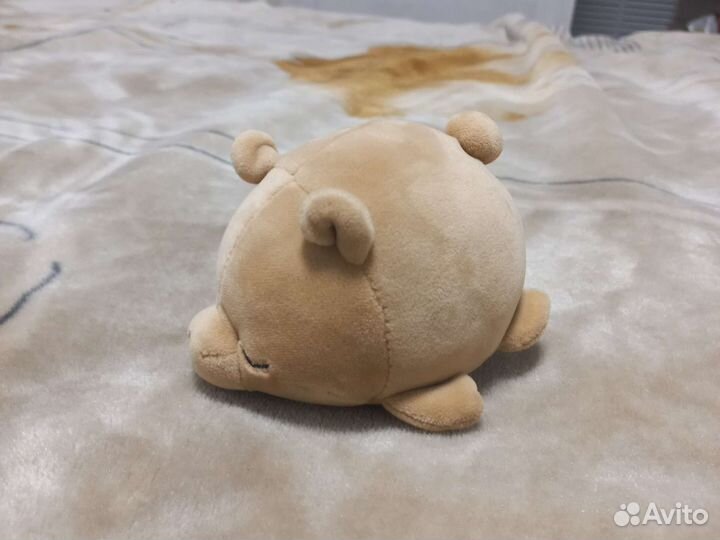 Милый, спящий медвежонок