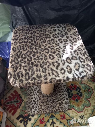 Когтеточка