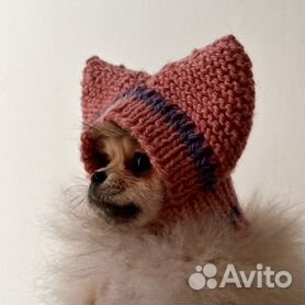 Читать онлайн «Вязаные шапки для собак своими руками», Natalina Zima – Литрес