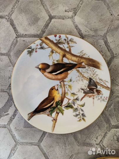 Тарелки, музейные птицы Джона Гулда Coalport
