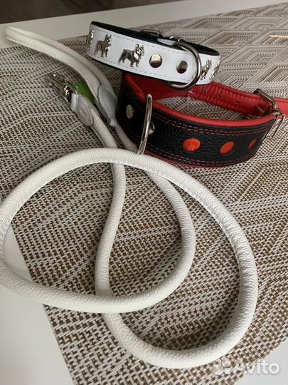 Ошейник для собак