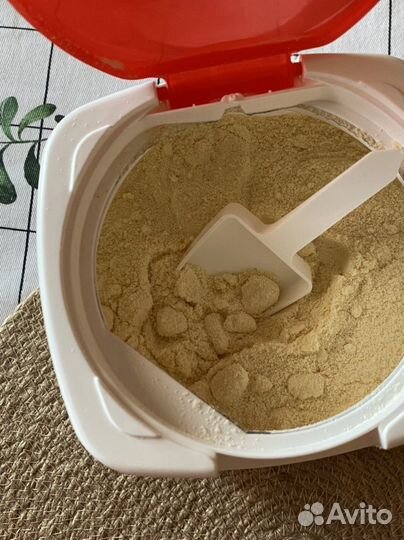 Корм для котят