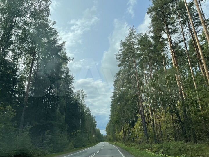 Участок 6,3 сот. (СНТ, ДНП)