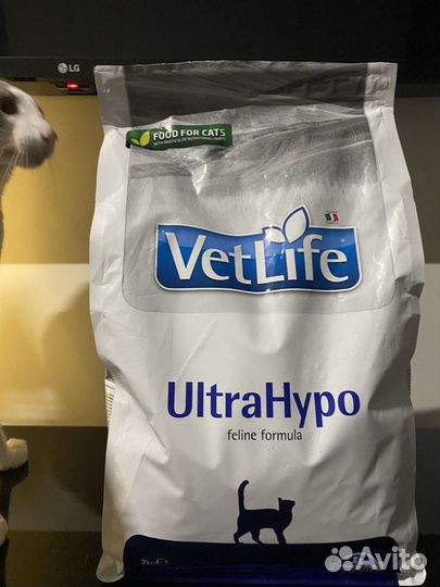 Сухой корм для кошек farmina гиппоаллергенный