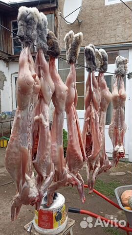 Мясо кролика