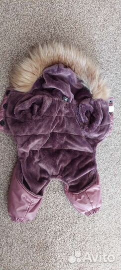 Зимний комбинезон для маленькой собачки