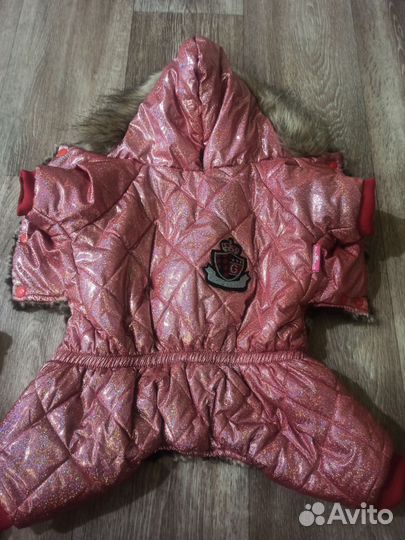 Одежда для собак мелких пород