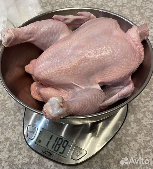 Мясо цыпленка бройлера