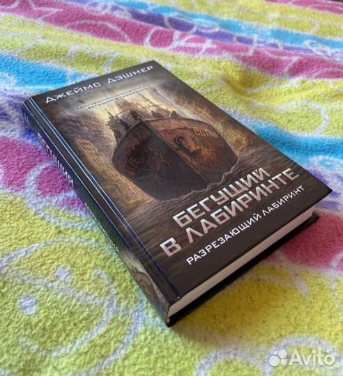 Книга Бегущий в лабиринте Разрезающий лабиринт