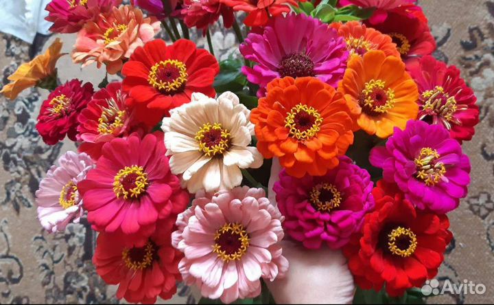 Шикарные букеты из свежих цветов