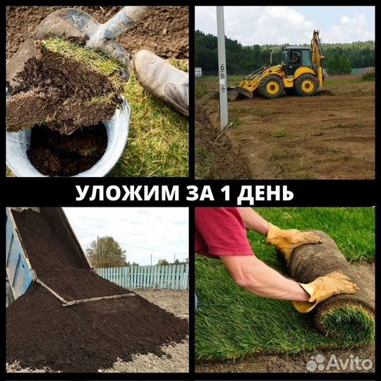 Рулонный газон,как у бабушки в деревне в Одинцово