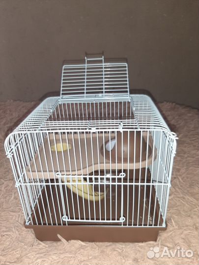 Продаи клетку