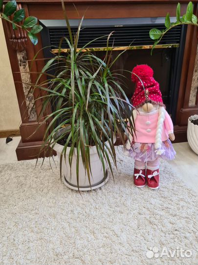 Продам цветы