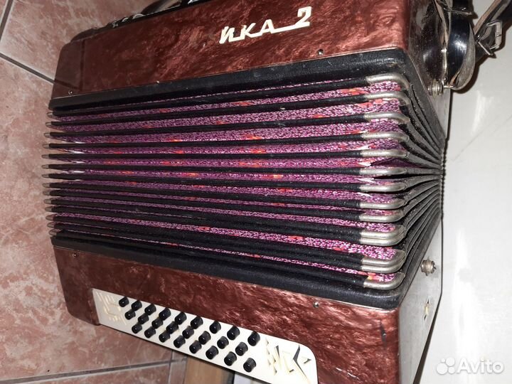 Гармонь чайка 2