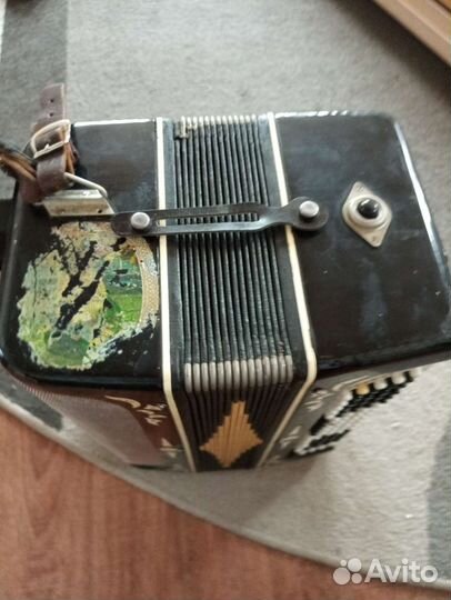 Баян Беларусь