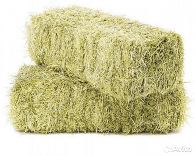 Конский навоз/опилки/сено
