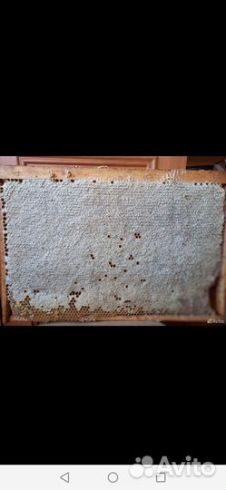 Сотовый мед