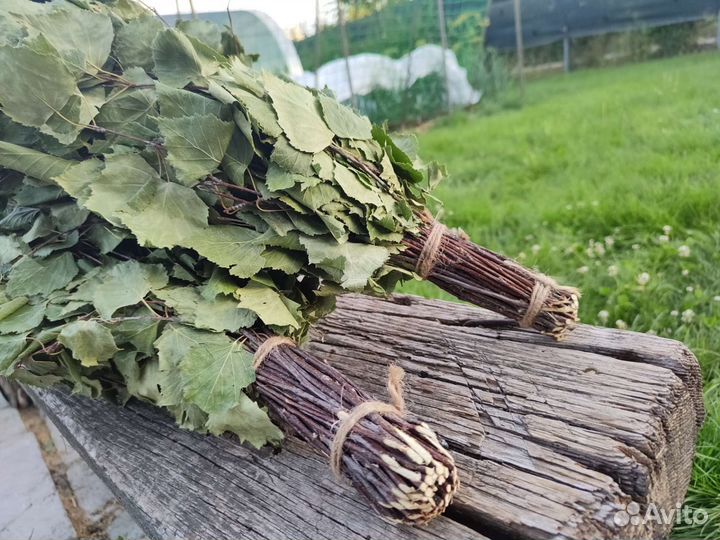 Березовые веники