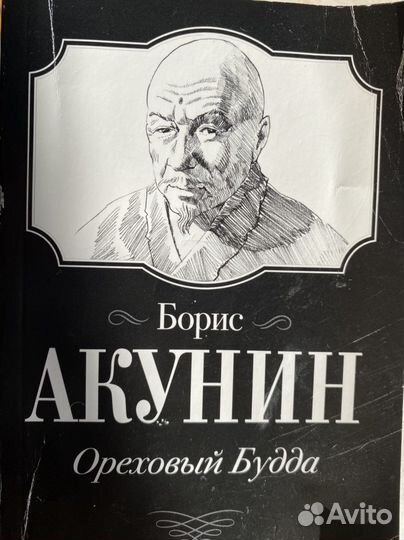 Книги борис акунин