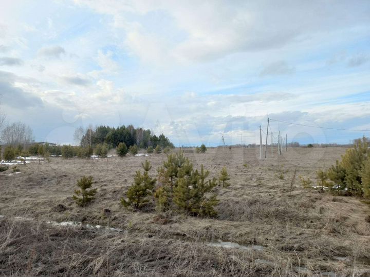 Участок 7 сот. (СНТ, ДНП)