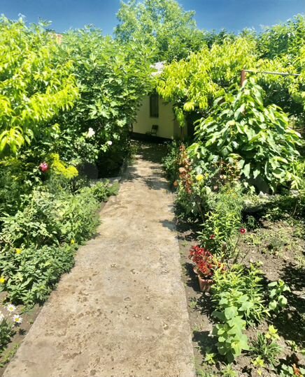 Комната 15 м² в 1-к., 1/2 эт.