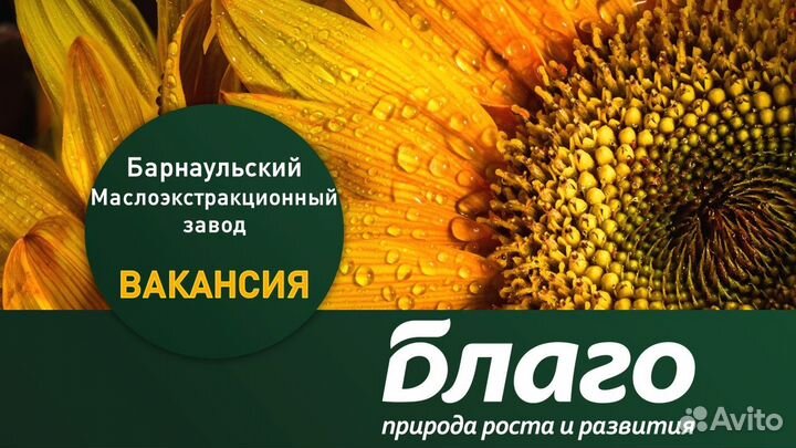 Водитель автомобиля маз