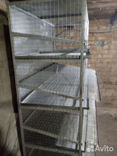 Клетки для перепелов