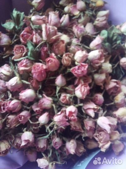 Букет сухоцветы