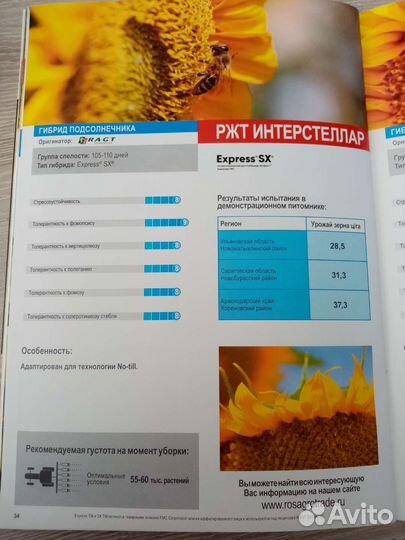 Семена подсолнечника интерстеллар(ragt)