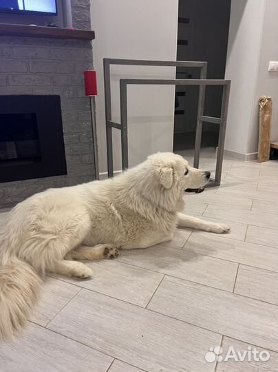 Вешалка напольная для одежды т полотенец из сосны