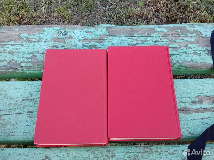 Книги анаконда и стукач