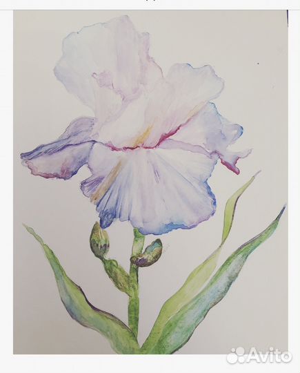 Акварель А4 триптих