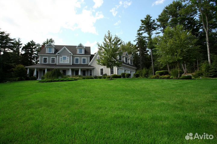 Газонная трава