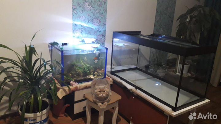 Аквариум