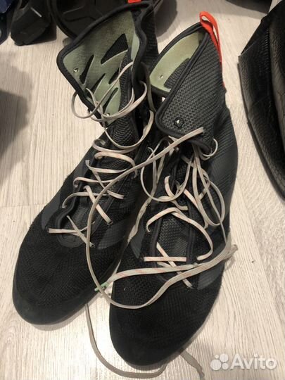 Боксерки adidas box hog 3