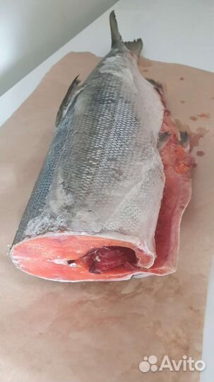 Кета свежемороженая