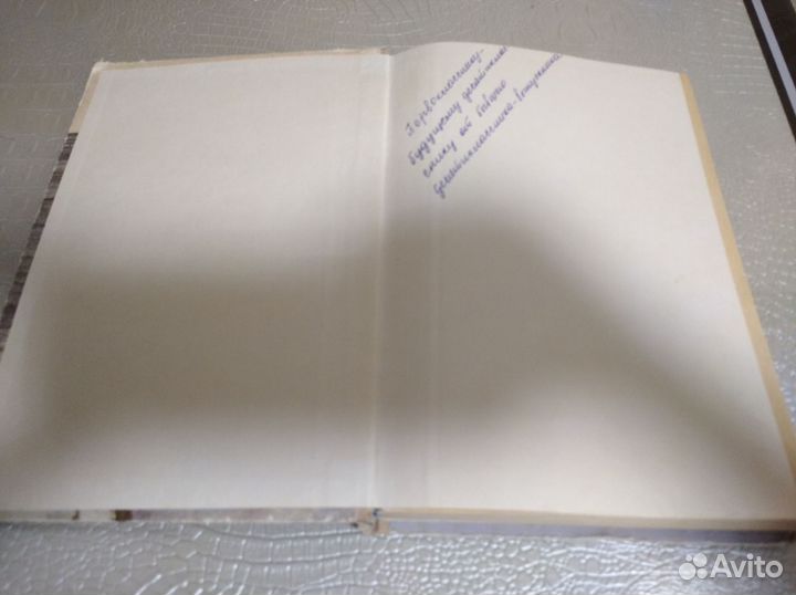 Раевский.Товарищ Богдан. детлит 1975