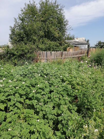 Дом 30 м² на участке 9 сот.