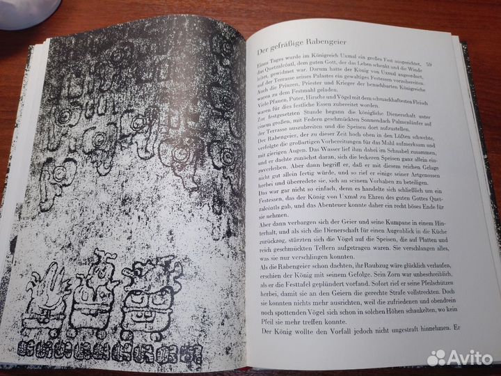 Die Loffelchen des Montezuma