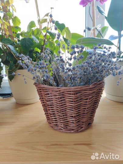 Кашпо плетеное, корзина