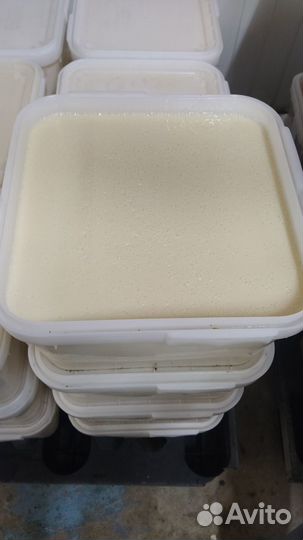 Мёд оптом рапсовый