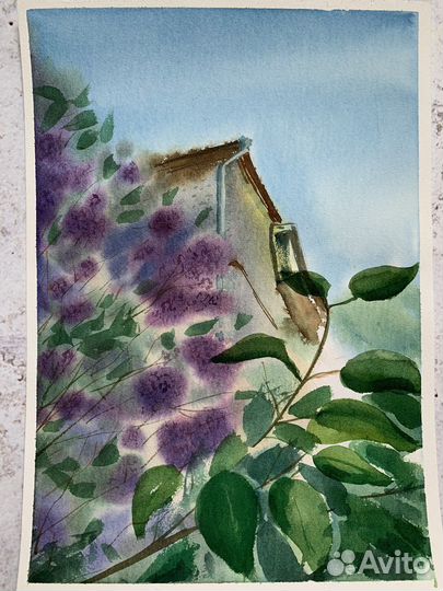 Картина акварель цветы