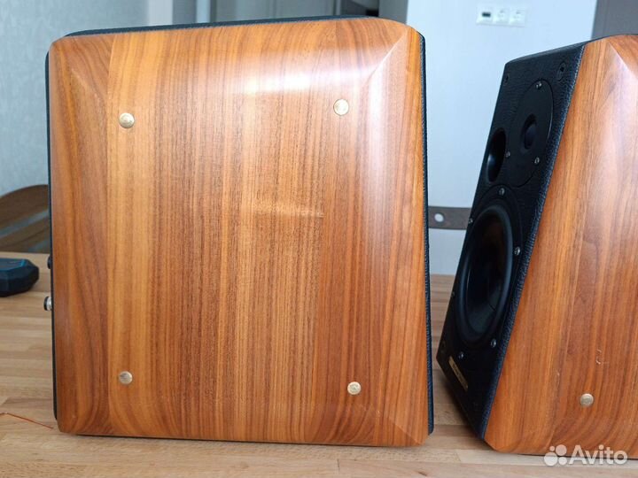 Sonus faber concerto