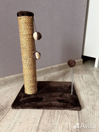 Когтеточка